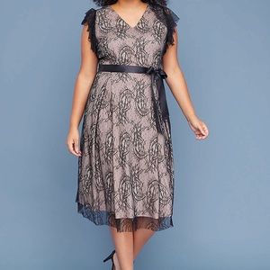 Lace Fit & Flare Midi Dress | NWOT